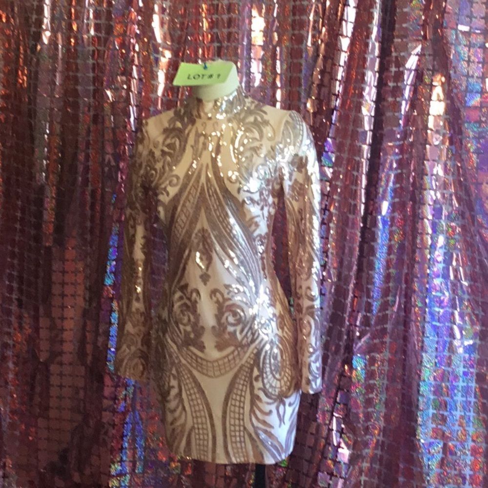 NWOT long sleeved dress with nude underlay & rose gold sequins throughout SM